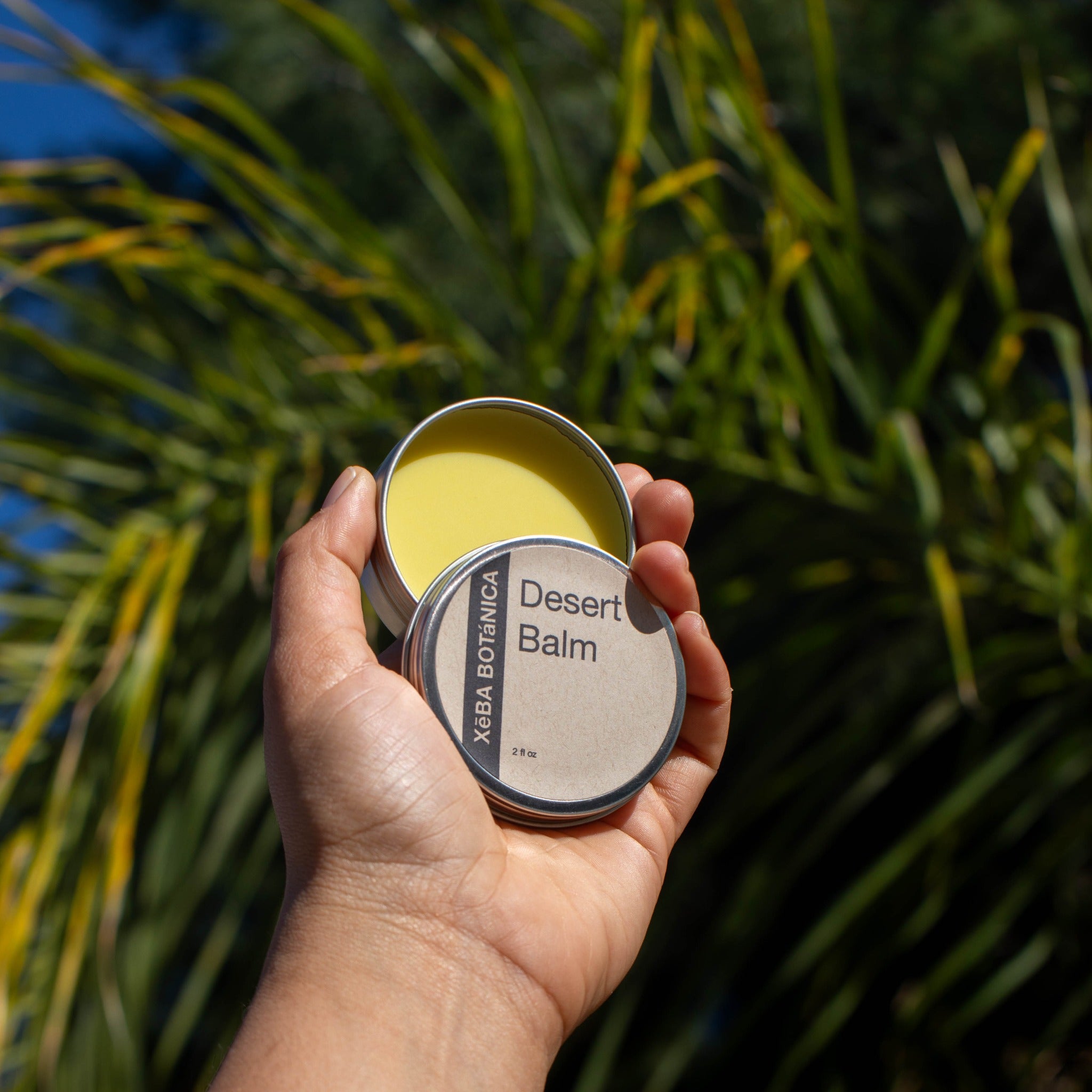 Open tin of yellow balm held up near desert plants