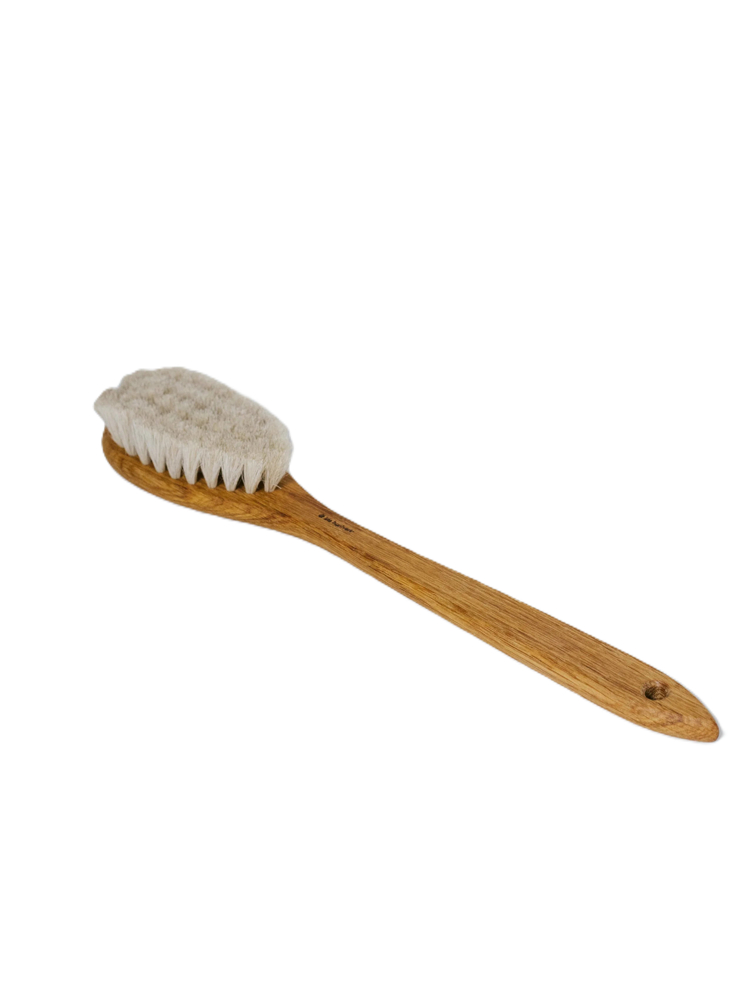 Bath Brush w Handle — transparent hero