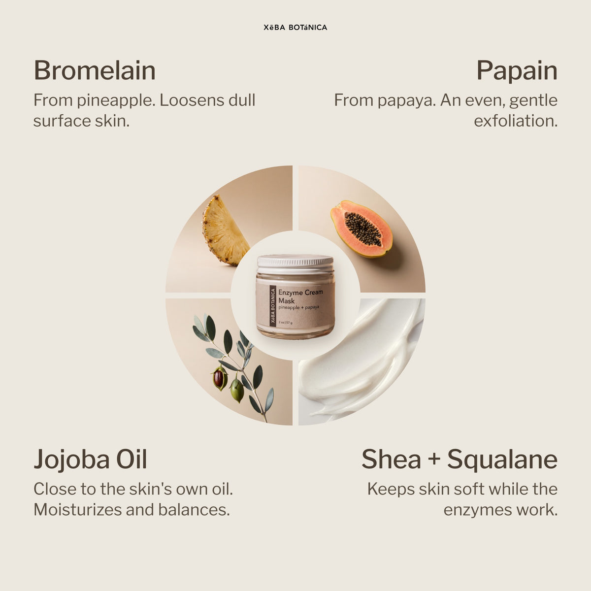 Key ingredients around the jar: bromelain from pineapple, papain from papaya, jojoba oil, shea and squalane