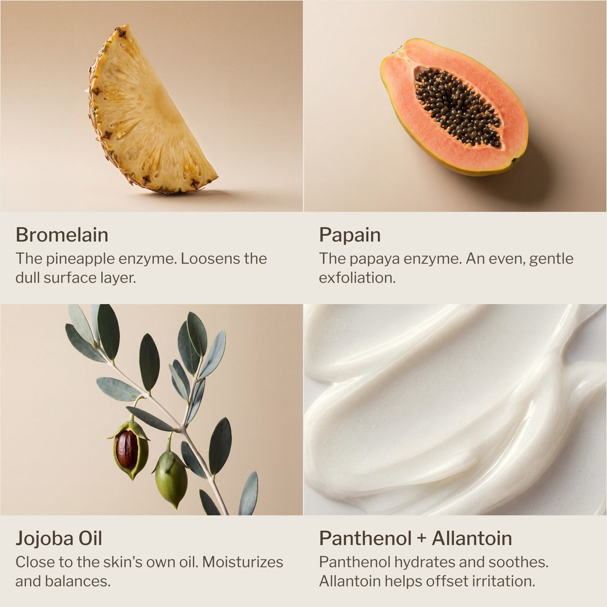 Ingredient grid: bromelain, papain, jojoba oil, panthenol and allantoin, each with what it does