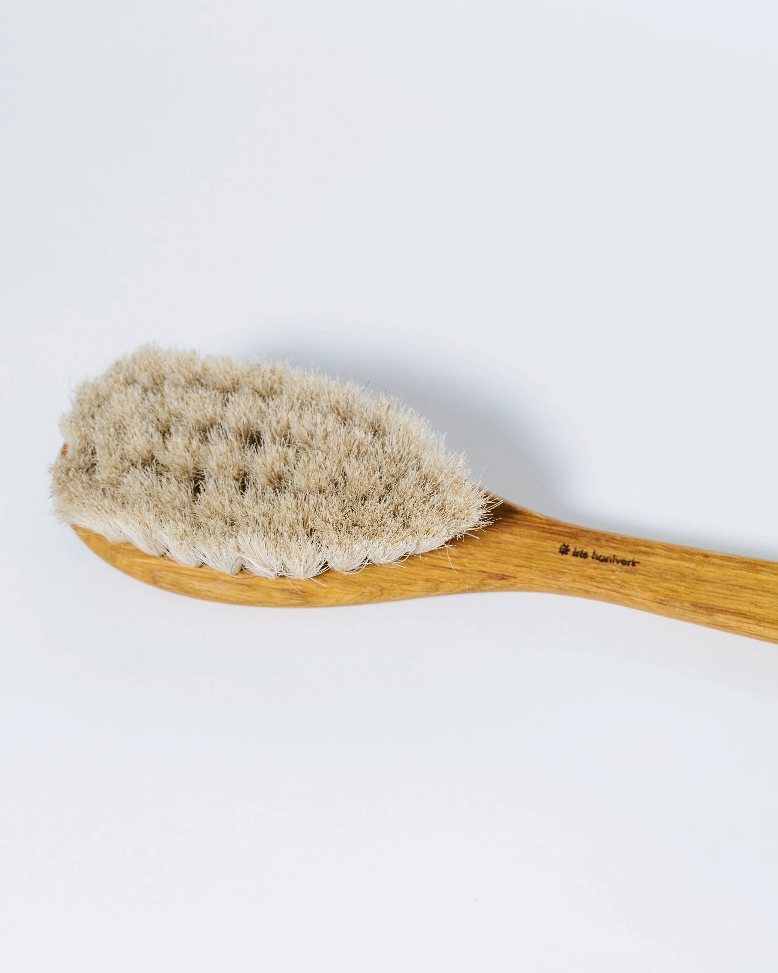 Bath Brush w Handle