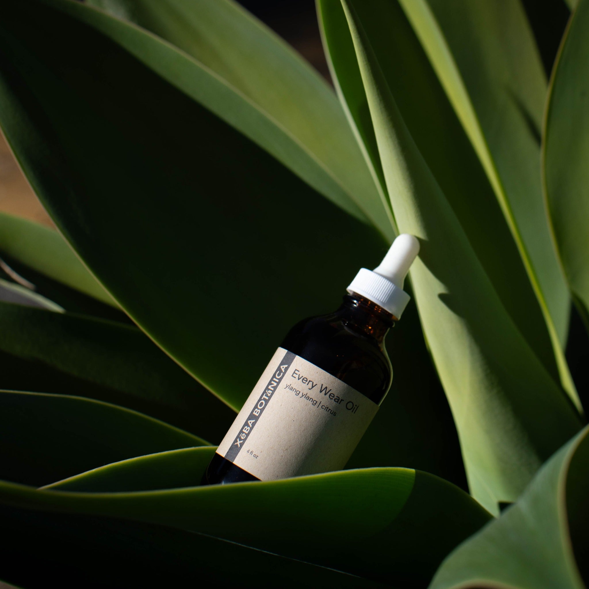 Amber dropper bottle resting among green agave leaves