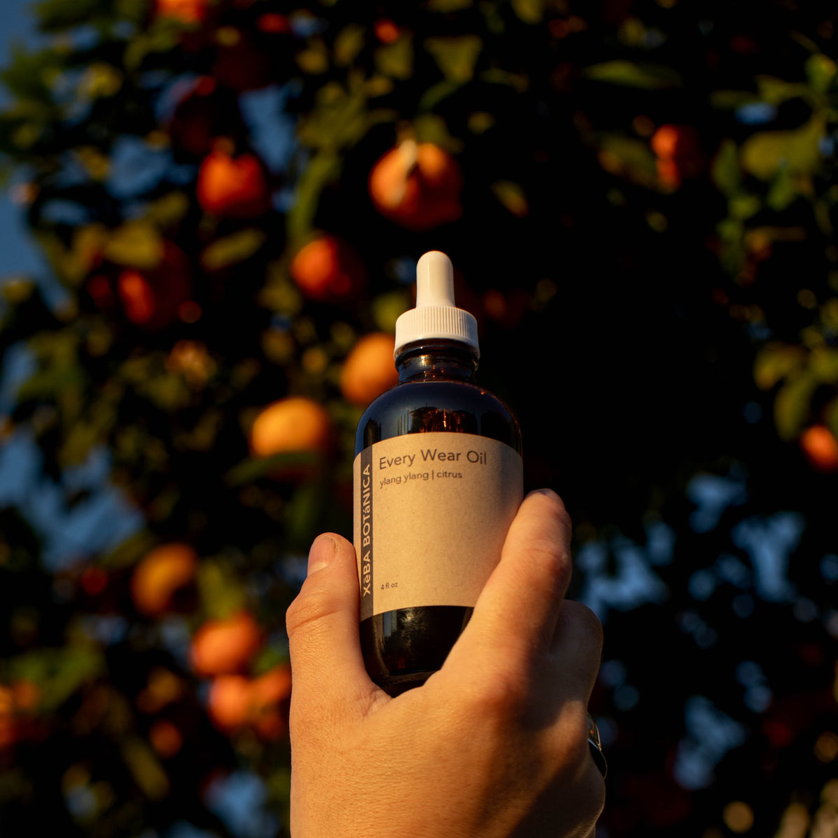 Hand holding amber bottle before a fruiting orange tree