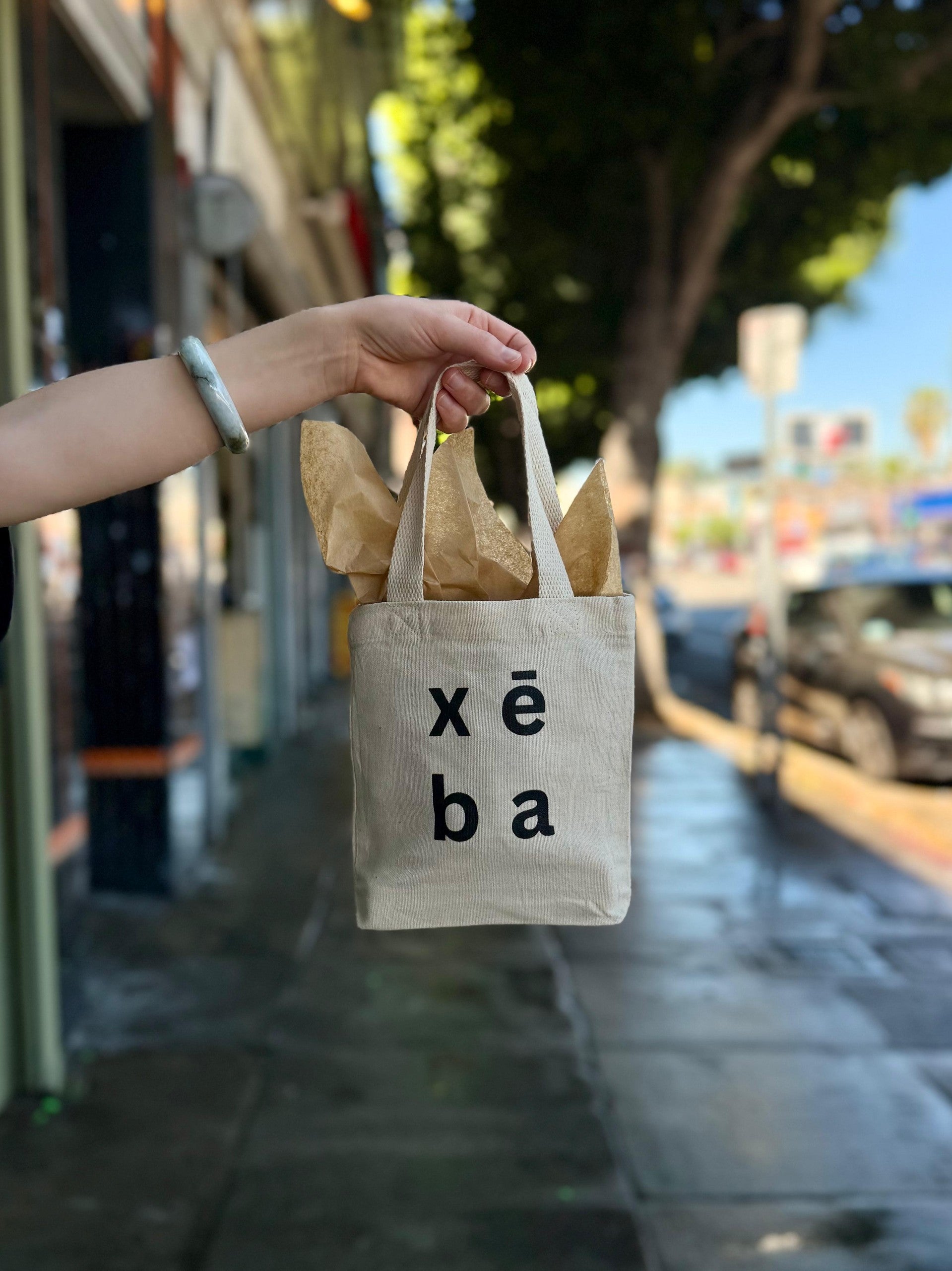 Mini XēBA Canvas Tote